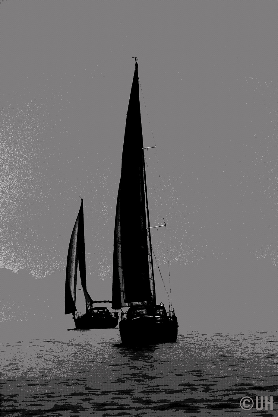Selgelr Bodensee