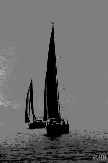 Selgelr Bodensee